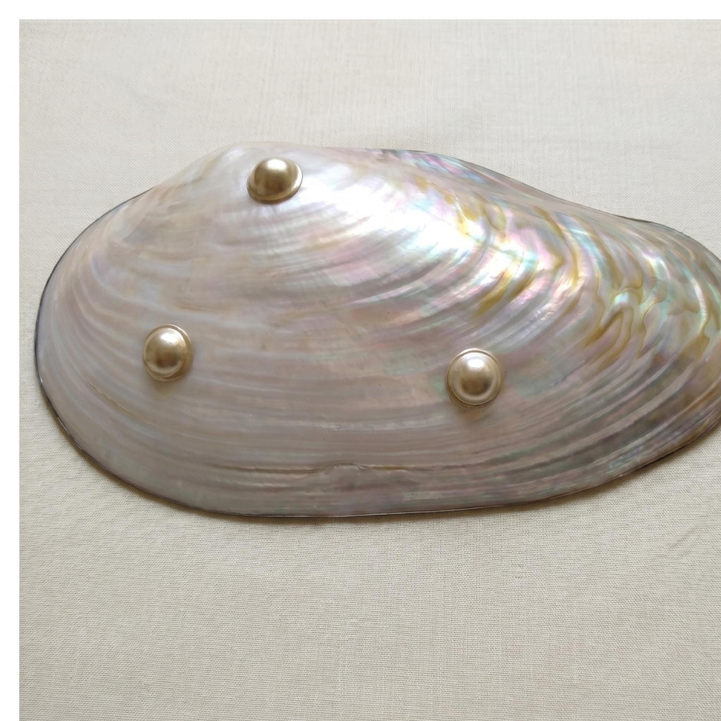 Handmade Mother of Pearl Plate, Shell Carved Decorative Dish, Luxury Jewelry Tray, Natural Iridescent Shell Bowl, Coastal Home Decor Gift
