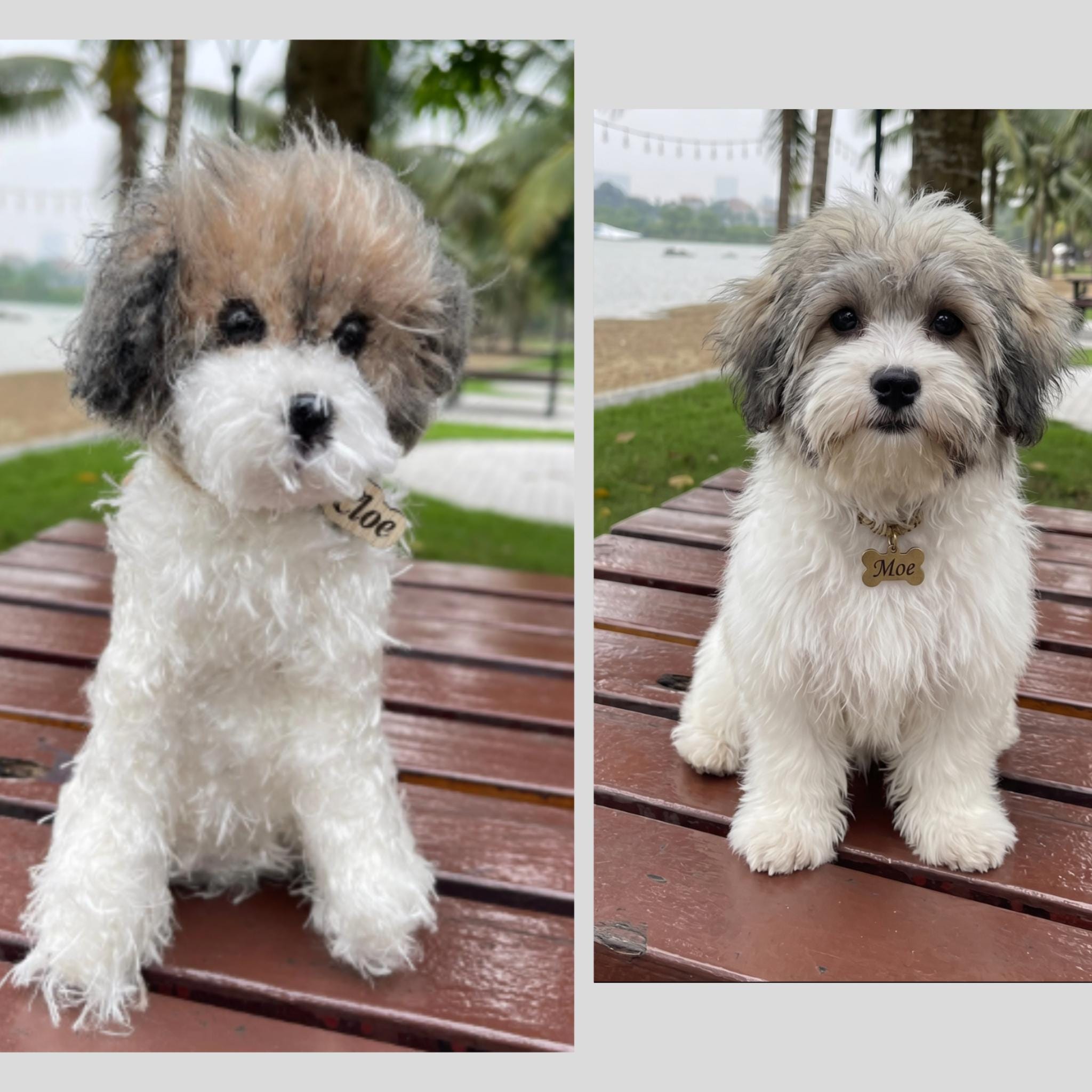 Custom Crochet Dog Plush, Realistic Pet Replica, Photo Dog Memorial Gift