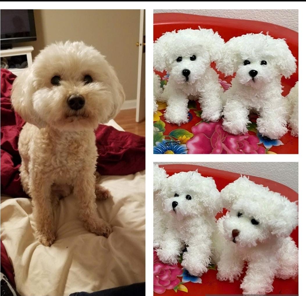 Custom Crochet Dog Plush, Personalized Pet Memorial, Dog Keychain